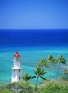 ²úÒµºì»ð±³ºóÃæÁٳɳ¤·³ÄÕ Ïç´åÂÃÓÎÈçºÎ½¡¿µ³É³¤