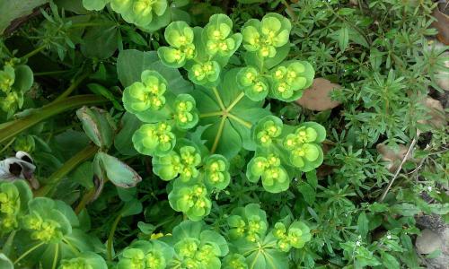 19¹«ÀÎÒ¹úÊ××ù¹«ÌúÁ½Óÿ纣´óÇÅÈ«²¿¿ªÍ¨