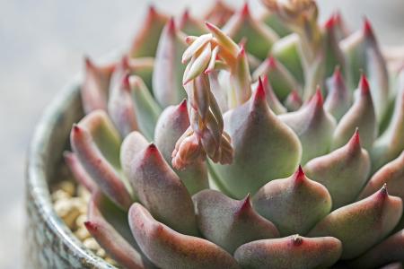 ÑëÐУºÎȽ¡µÄ»õ±ÒÕþ²ßÒªÁé»î¾«×¼¡¢ºÏÀíÊʶÈ