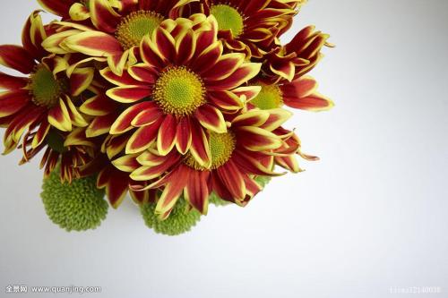 Ò²ÃÅÑǶ¡»ú³¡·¢Éú3´Î¾çÁÒ±¬Õ¨ Ôì³ÉÖÁÉÙ3ÈËËÀÍö