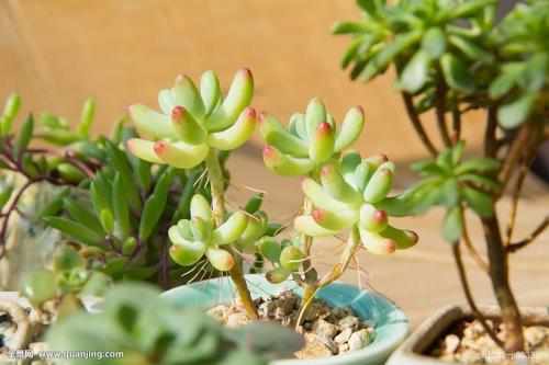 ϳ̨ʩǿṤרҵʵϰʵؽ