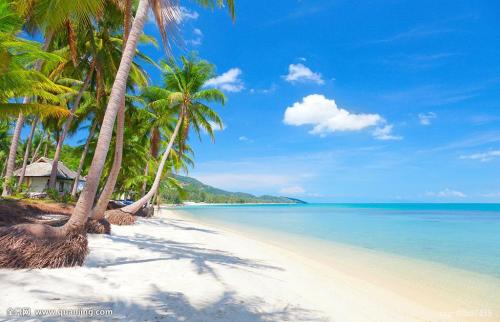 À´ÁË£¡10²¿ÐÂÆ¬½ÇÖð¹úÇìµµ