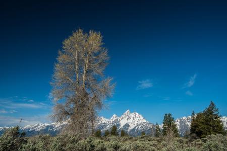 º«Ç¿»¯Èë¾³¼ìÒß Ó¡ÄáÃ÷ÄêÆðÁ½ÖÜÄÚÔÝÍ£Íâ¹úÈËÈë¾³