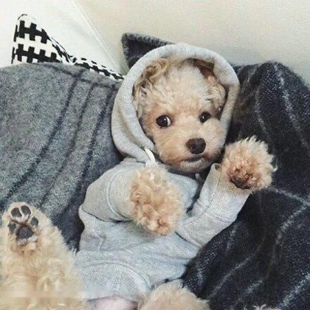 ÎÄ»¯ºÍÂÃÓβ¿½«¿ªÕ¹¡°ÊÓÆµÖ±²¥¼ÒÏçÄꡱ»î¶¯